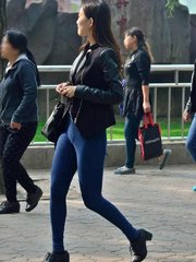 那一夜的妖精日记原版